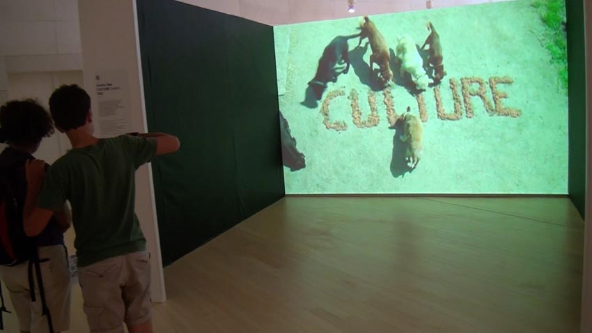 Avelino_Sala_Culture.jpg