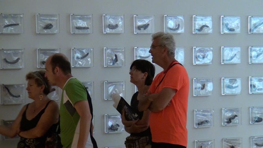 Wim_Delwoye-Faeces_of_Cloaca.jpg