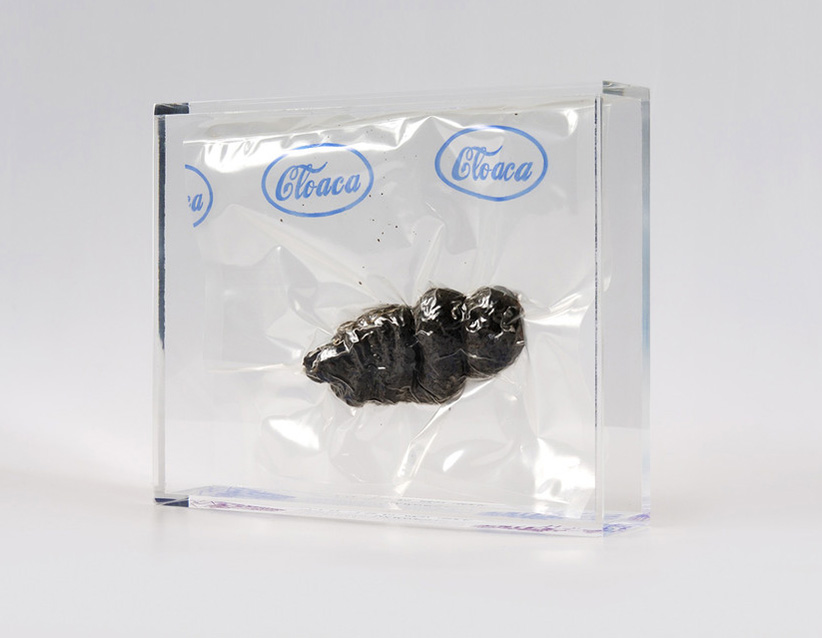 Wim_Delvoye_Cloaca_Faeces_2000-2002